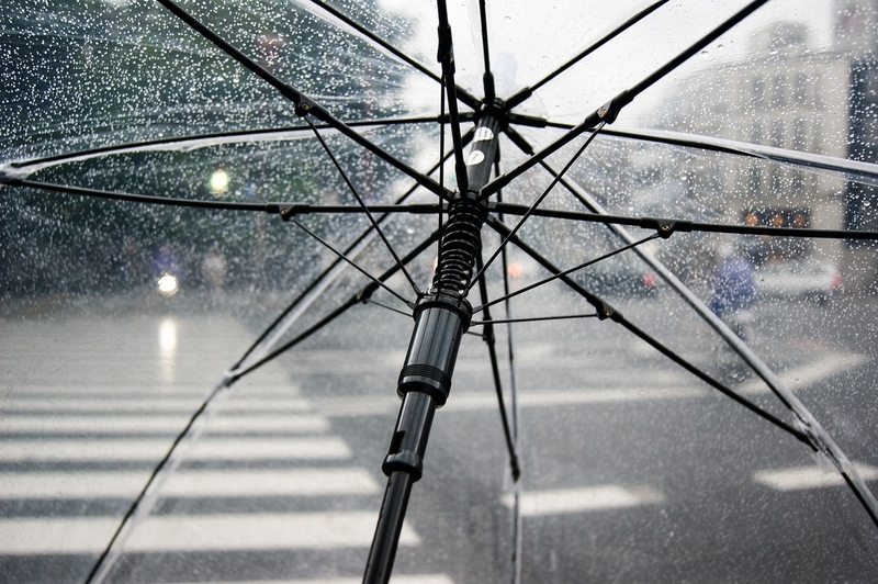 Umbrella rain